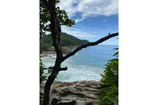 Trilha do Caxadaço em Trindade, Paraty, cercada de mata atlântica