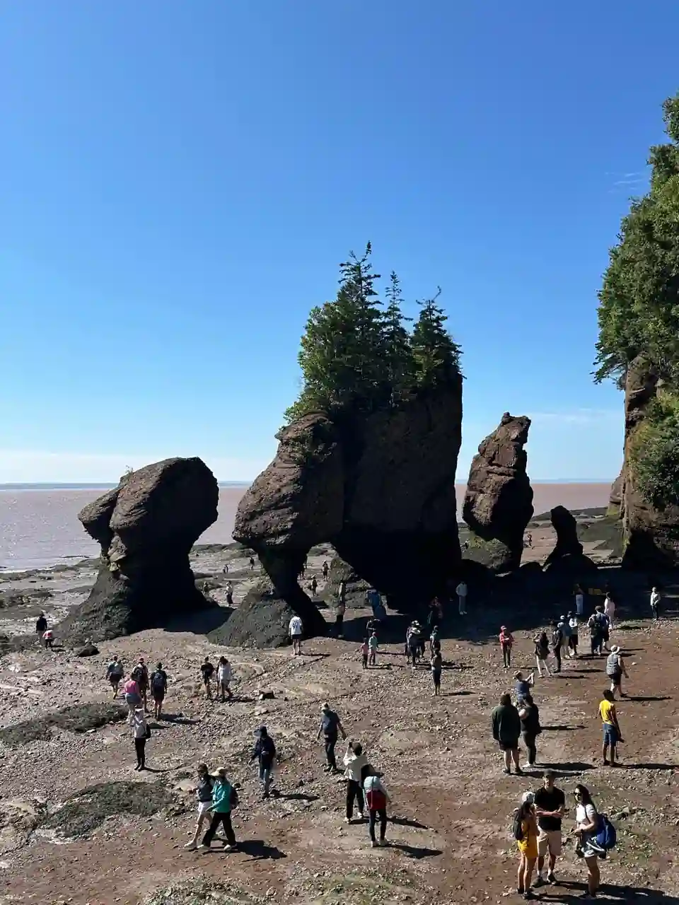 Formações rochosas em formato de cogumelo de Hopewell Rocks vistas de cima durante a maré baixa na Baía de Fundy