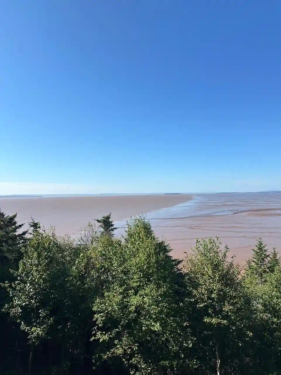 Vista do mirante de Hopewell Rocks com a maré baixa expondo o fundo da Baía de Fundy, New Brunswick, Canadá