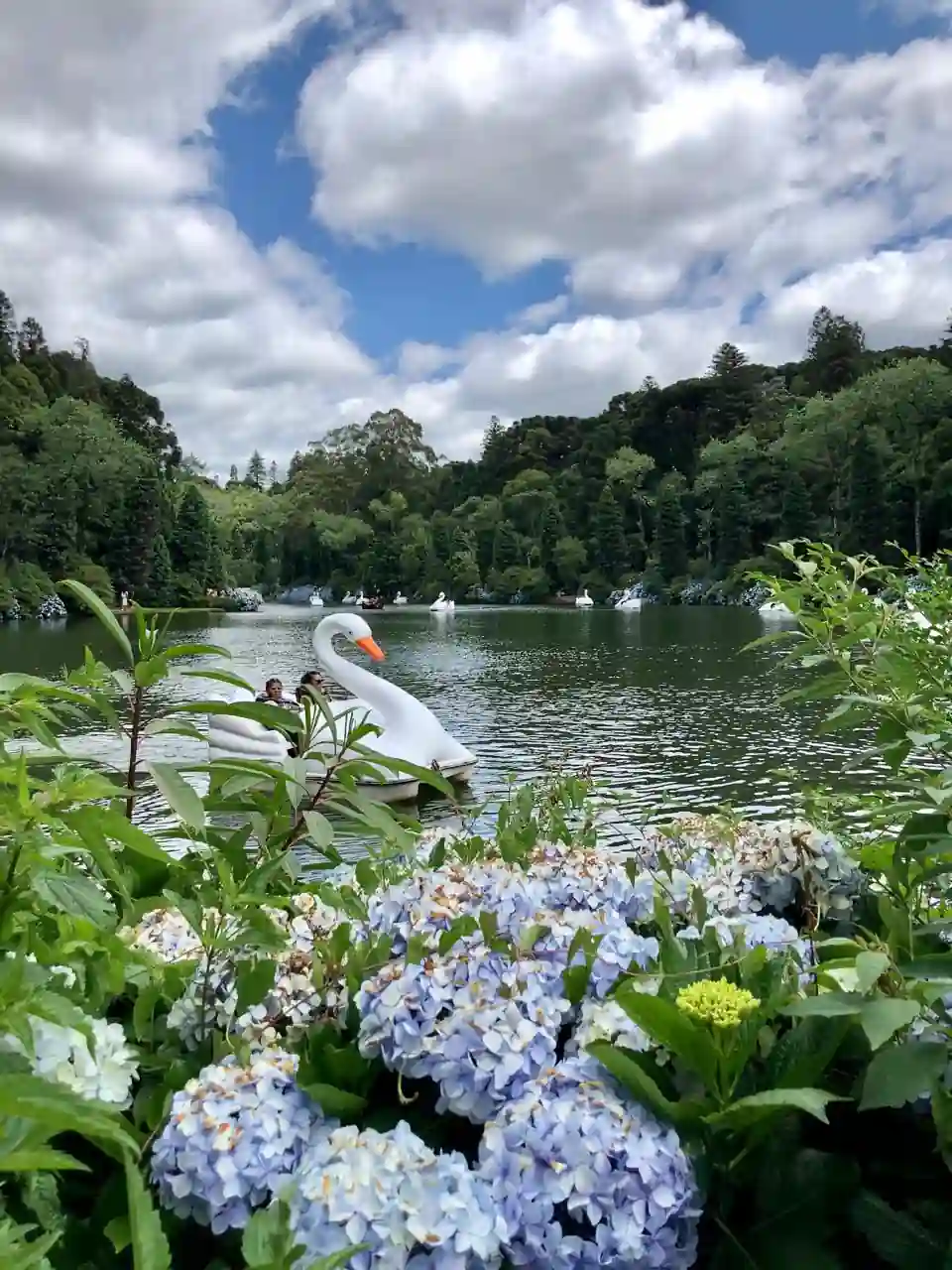 Pedalinho em formato de cisne no Lago Negro, um dos passeios gratuitos de Gramado