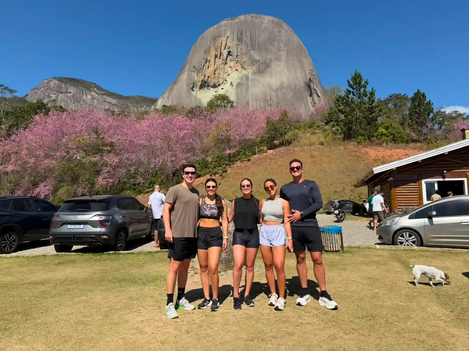 Grupo de amigos em frente às cerejeiras floridas no Parque da Pedra Azul