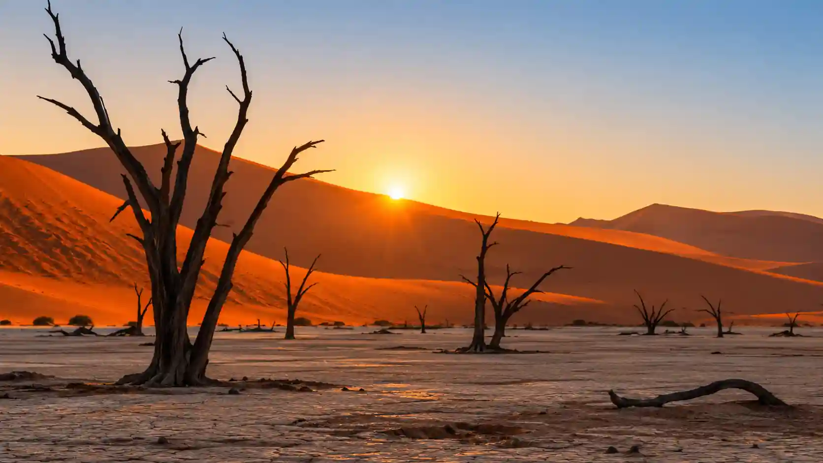 Dunas alaranjadas do deserto do Namib, na Namíbia, ao amanhecer