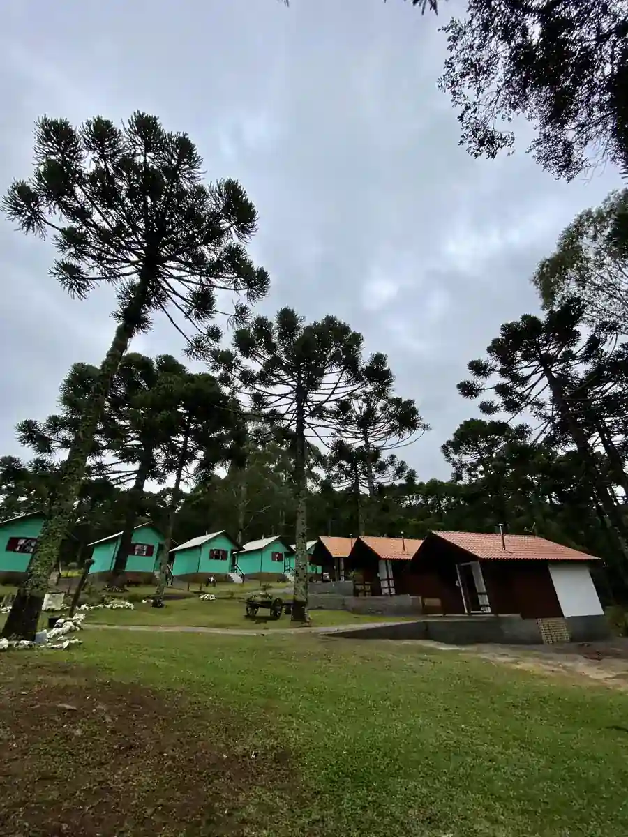 Chalés da Pousada Cardoso cercados por araucárias em Cambará do Sul